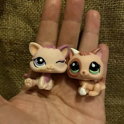 Buy Littlest Pet Shop Genuine Hasbro 2 Toy Baby Cat Figure Kittens Twins Pink Kitten • 12.99£