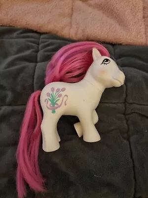 Buy Vintage G1 MLP Tulip Uk Exclusive My Little Pony 80s • 20£