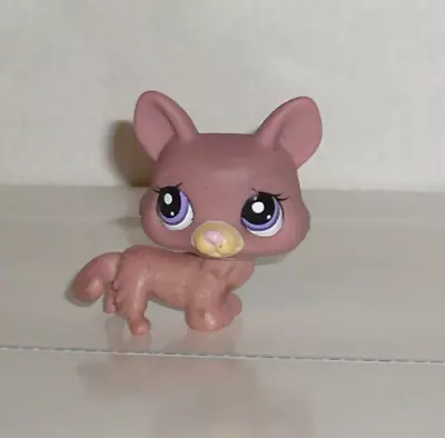 Buy Hasbro LPS Littlest Pet Shop Figure Dog Corgi #1533 • 4.99£