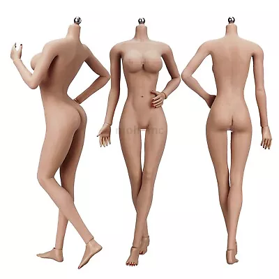 Buy 1/6 Female Large Bust Action Figure Body Seamless For 12  TBLeague Hot Toys Head • 12.55£