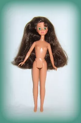 Buy 1987 Barbie Skipper Doll Brown - Collector • 20.23£