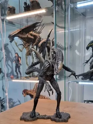 Buy Neca AvPR Xenomorph Warrior With BOX - First Edition  • 44.99£