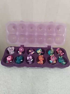 Buy Hatchimals Colleggtibles Collectibles Purple Egg Container & 12 Figures + Wings • 18£