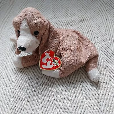 Buy Ty Beanie Baby Sniffer • 1.50£