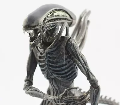 Buy NECA Xenomorph Warrior Alien Action Figure 8  (21cm) Posable + Opened Box    #16 • 35£