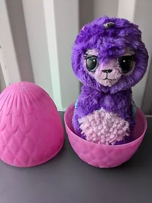 Buy Hatchimals WOW Llamacorn With Egg (Working) • 9.99£