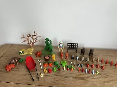 Buy Playmobil Farmer Noah Figure With Different Animals Food And Accessories Bundle • 7.95£