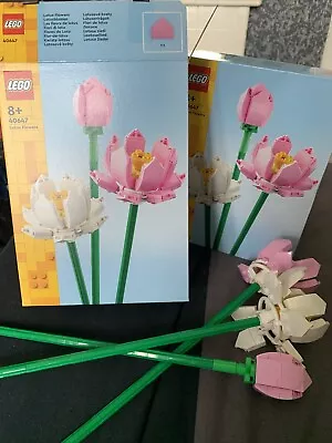 Buy LEGO CREATOR: Lotus Flowers (40647) X2. One New Sealed And One Built With Box • 12.50£