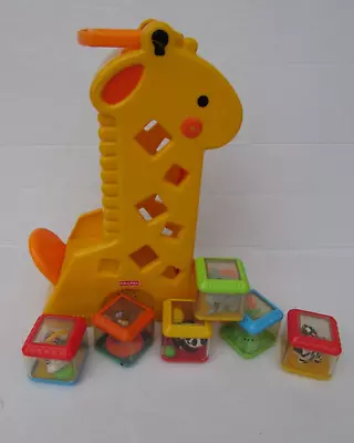 Buy Fisher Price Peek A Boo Blocks Tumblin Sounds Giraffe & 6 Blocks • 15£