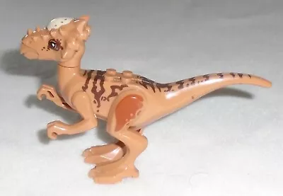 Buy Official LEGO 75927 Jurassic World Park Stygimoloch Dinosaur Next Day Dispatch • 14.99£
