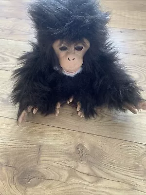 Buy Furreal Friends Cuddle Chimp Interactive Monkey 2005 Hasbro Read Description • 19.98£