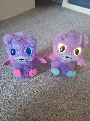 Buy Peacat TWINS HATCHIMALS SURPRISE Interactive Winged Fluffy Soft Toys Hatched • 22£