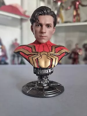 Buy Spiderman Bust Stand For Hot Toys From Apollo Toys • 64.99£