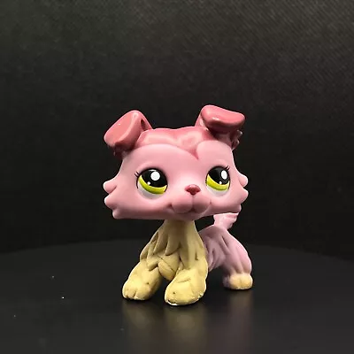 Buy Littlest Petshop LPS Dog Chien Colley Collie #1723 Hasbro • 19.99£