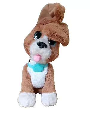 Buy Hasbro FurReal Beagle Dog Chatty Charlie Interactive Talking Soft Toy 11  • 10.99£