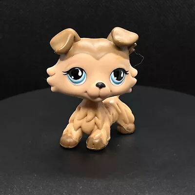 Buy Littlest Pet Shop Lps Figure #893 Collie Dog Puppy Brown/light Brown Tan • 29.99£