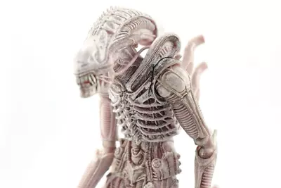 Buy NECA   Albino Drone Xenomorph Alien (Rare) Action Figure 8  (21cm) Posable    #8 • 30£