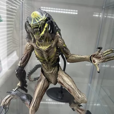 Buy Hot Toys MMS74 “AVPR” Predalien  • 320£