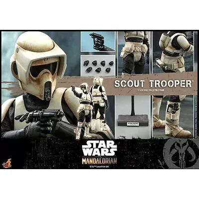 Buy Hot Toys Mandalorian TMS016 Scout Trooper: The Mandalorian - Scout Trooper 1/6 F • 777.25£