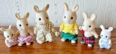 Buy Sylvanian Families | The Snow-Warren Rabbit Family | Vintage • 15£