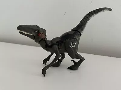 Buy VELOCIRAPTOR - Jurassic World Dinosaur Bashers & Biters Velociraptor Hasbro 2015 • 7£