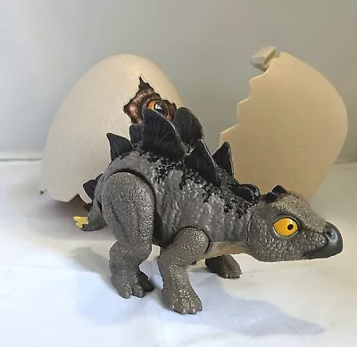 Buy Jurassic World Hatch 'N Play Baby Stegosaurus With Hatching  Egg • 9.95£