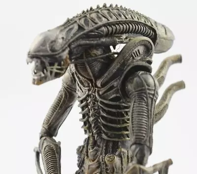 Buy NECA Xenomorph Brown Warrior Alien Action Figure 8  (21cm) Posable           #14 • 25£