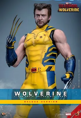 Buy Pre-order Hot Toys MMS754 1/6 Deadpool & Wolverine Wolverine Figure Deluxe Model • 355£