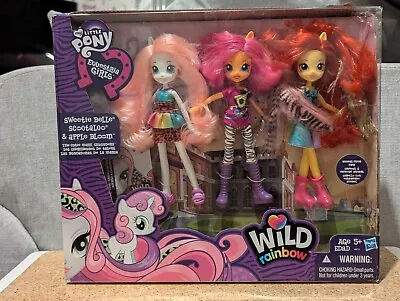 Buy My Little Pony Equestria Girls Wild Rainbow The Cutie Mark Crusaders... • 189.99£