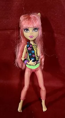 Buy Monster High Howleen Wolf 13 Wishes Mattel Doll Doll Doll • 19.22£