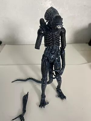 Buy Aliens Ultimate Xenomorph Warrior Blue Loose Figure NECA Genuine Damaged • 19.99£
