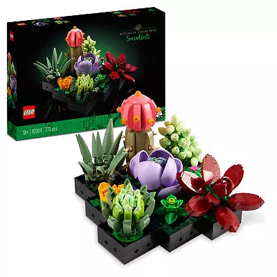 Buy LEGO Creator Expert: Succulents (10309) • 38.99£