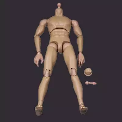 Buy Hot Toys Head 1/6 Scale Male Muscular Body V1-N Action Figure 12 Doll Fit Phicen • 17.86£