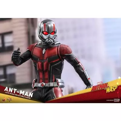 Buy Hot Toys Movie Masterpiece Ant-Man Wasp 1/6 Scale Figure • 392.59£