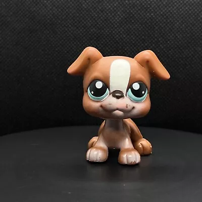 Buy Littlest Pet Shop Boxer Dog Puppy Brown #83 • 5.49£