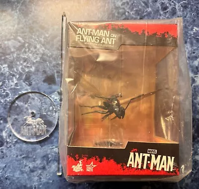 Buy Hot Toys MMSC003 Ant-Man On Flying Ant Antony Miniature Collectible Custom Stand • 100£