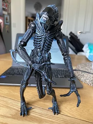 Buy Neca Alien Figure,9 Inches Tall • 6.50£