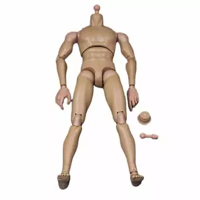 Buy 1/6 Scale Male Muscular Body V1-N Model 12 Dolls Fit Phicen Hot Toys Head HOT • 16.80£