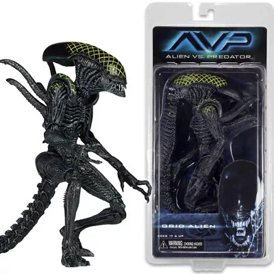 Buy New NECA Grid Alien AVP Xenomorph Aliens Vs Predator 7  Action Figure Series 7 • 31.19£