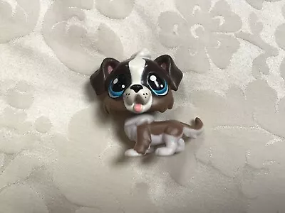 Buy Littlest Pet Shop LPS #218 Brown Bigley Bernie Dog • 8£