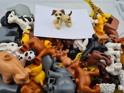 Buy 1 Lego® Duplo Figure Animal Farm Zoo Wild Animals MIXED - MEDIUM • 3.56£