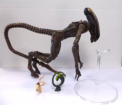 Buy Alien 3 Ultimate Dog Alien Loose Figure NECA Genuine • 34.99£