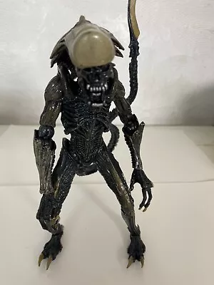 Buy NECA - Figurine Alien VS Predator - Chrysalis Alien • 34.99£