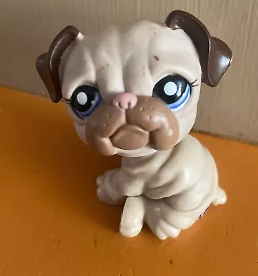 Buy Hasbro LPS Littlest Pet Shop Figure Dog Bulldog • 3£