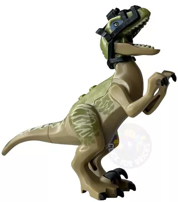 Buy LEGO Raptor Velociraptor Jurassic World Dinosaur Raptor6 Delta Figure - 75917 • 17.99£