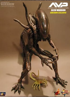 Buy Ultra Rare Sideshow HT AvP ALIEN WARRIOR EXCLUSIVE FACEHUGGER MMS29 NEW SEALED • 589.29£