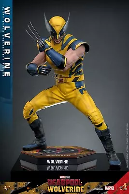 Buy Pre-order Hot Toys MMS753 1/6 Deadpool & Wolverine Wolverine Figure Normal Ver. • 305£