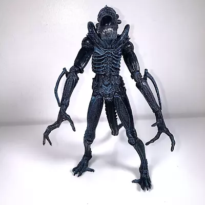 Buy NECA Xenomorph Warrior Blue Alien Articulated Figure 9  2013 See Description • 24.99£