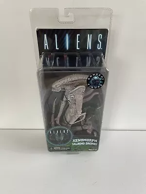 Buy Genuine Reel Toys Neca Aliens Concept Xenomorph Albino Drone Action Figure BNIB • 49.99£