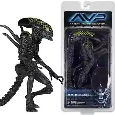 Buy NECA Grid Alien Xenomorph Warrior AVP 7  Action Figure 1:12 Aliens Series 7 New • 28.99£